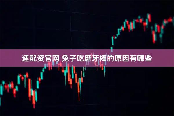速配资官网 兔子吃磨牙棒的原因有哪些