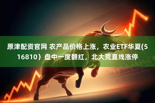 原津配资官网 农产品价格上涨，农业ETF华夏(516810）盘中一度翻红，北大荒直线涨停
