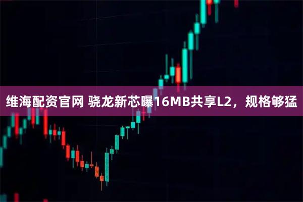 维海配资官网 骁龙新芯曝16MB共享L2,规格够猛
