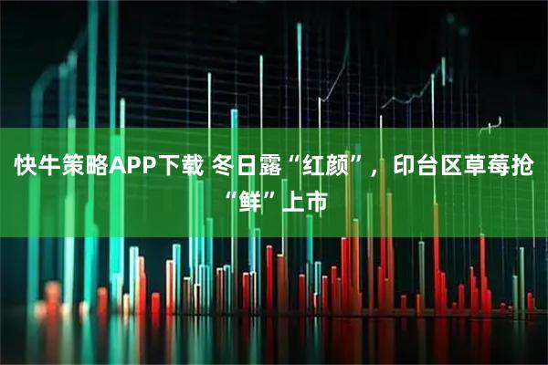 快牛策略APP下载 冬日露“红颜”,印台区草莓抢“鲜”上市